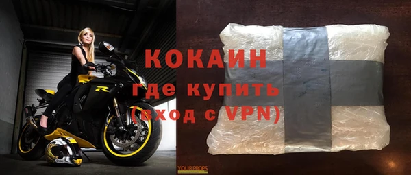 стаф Осинники