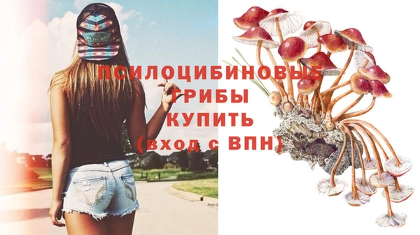 гидропоника Балахна