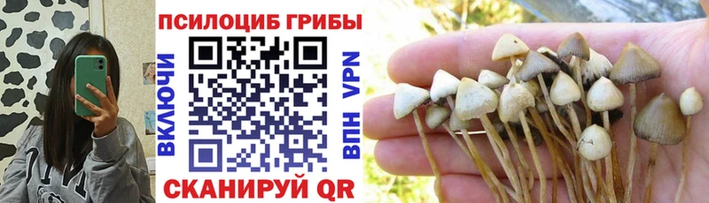 Галлюциногенные грибы мухоморы  Новая Ладога 
